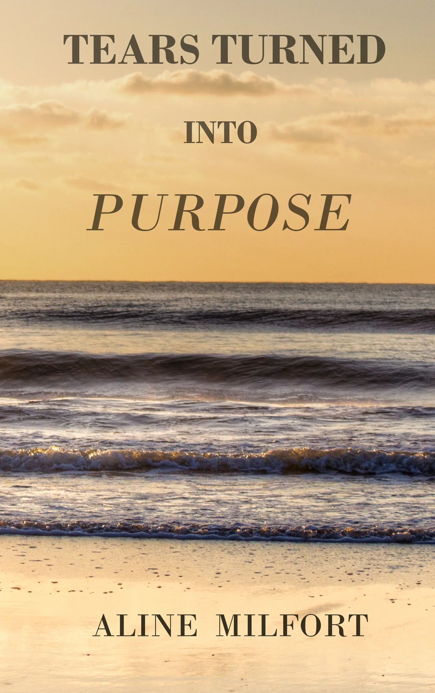 Cover of Tears Turned Into Purpose by Aline Milfort